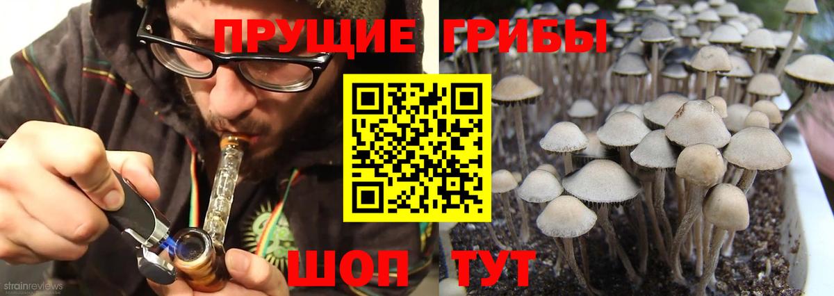 Псилоцибиновые грибы ЛСД  Вход с VPN  Югорск  Галлюциногенные грибы Psilocybe 